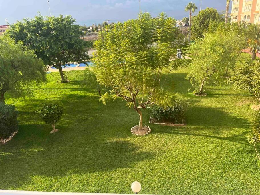Casa Di Mateo With Garden View And Swimming Pool Apartment Torrevieja Exterior photo