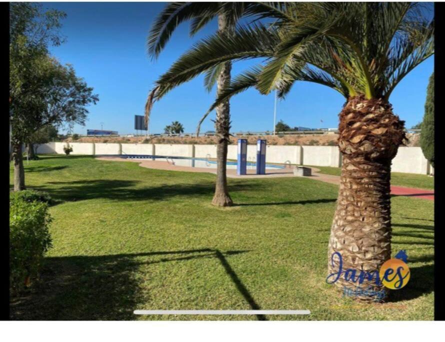 Casa Di Mateo With Garden View And Swimming Pool Apartment Torrevieja Exterior photo