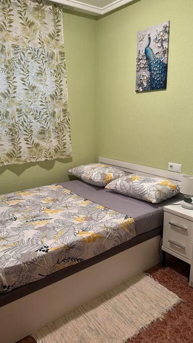Casa Di Mateo With Garden View And Swimming Pool Apartment Torrevieja Exterior photo